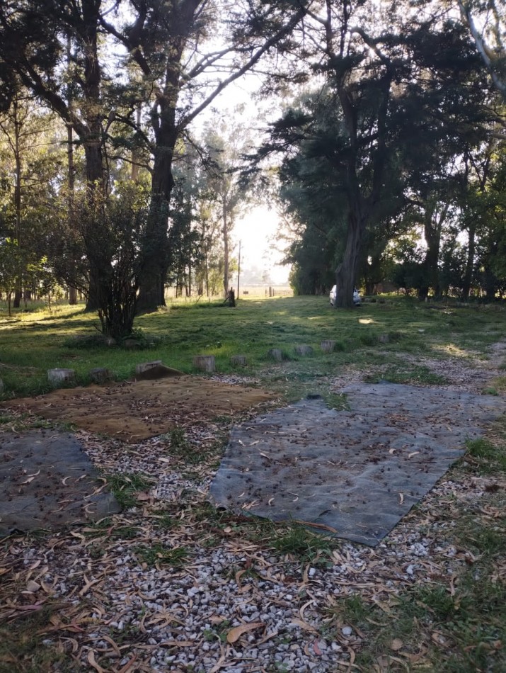 OPORTUNIDAD !!! Nuevo valor !!! Negocio !!! VENTA GRAN FRACCION DE TIERRA, IDEAL QUINTA, CASA DE CAMPO O VACACIONAL, IMPORTANTE LOTE EN UN ARBOLADO PAISAJE , HERMOSA ZONA