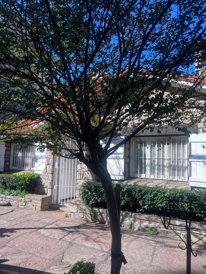 VENTA CHALET  ZONA GUEMES, A METROS DEL SHOPPING, CHALET TIPICO MDP, 3 amb. mas dependencias dobles con baño, garaje y patio 