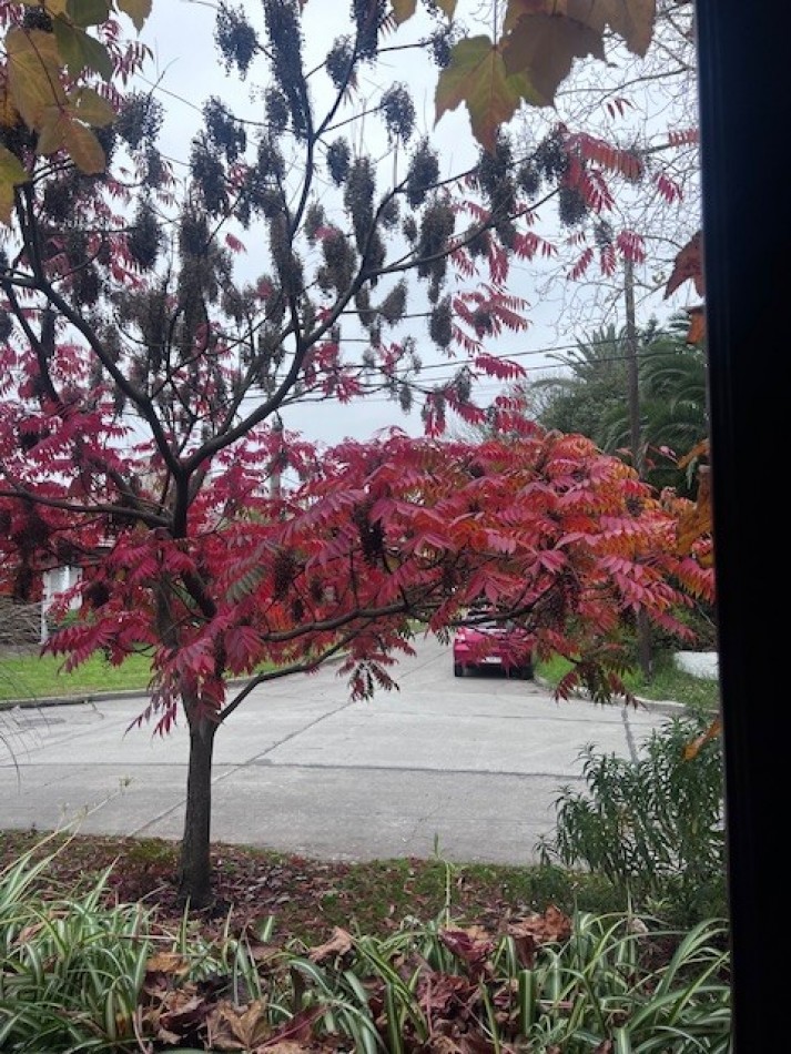 VENTA HERMOSO CHALET UBICADO EN PINOS DE ANCHORENA, 5 AMB. PARQUE, PILETA, GJE./ QUINCHO, VISITELA