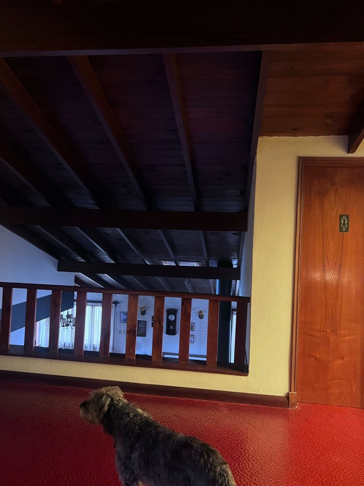 VENTA HERMOSO CHALET UBICADO EN PINOS DE ANCHORENA, 5 AMB. PARQUE, PILETA, GJE./ QUINCHO, VISITELA