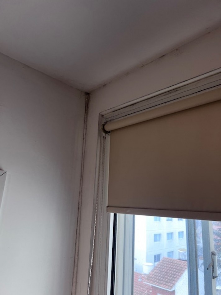 ALQUILER 24 MESES, MAR DEL PLATA,  ZONA CHAUVIN, 3 AMB. AL  FRENTE CON BALCON Y COCHERA